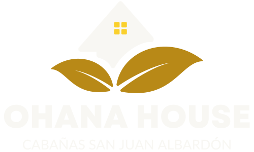 as (2) as (2)